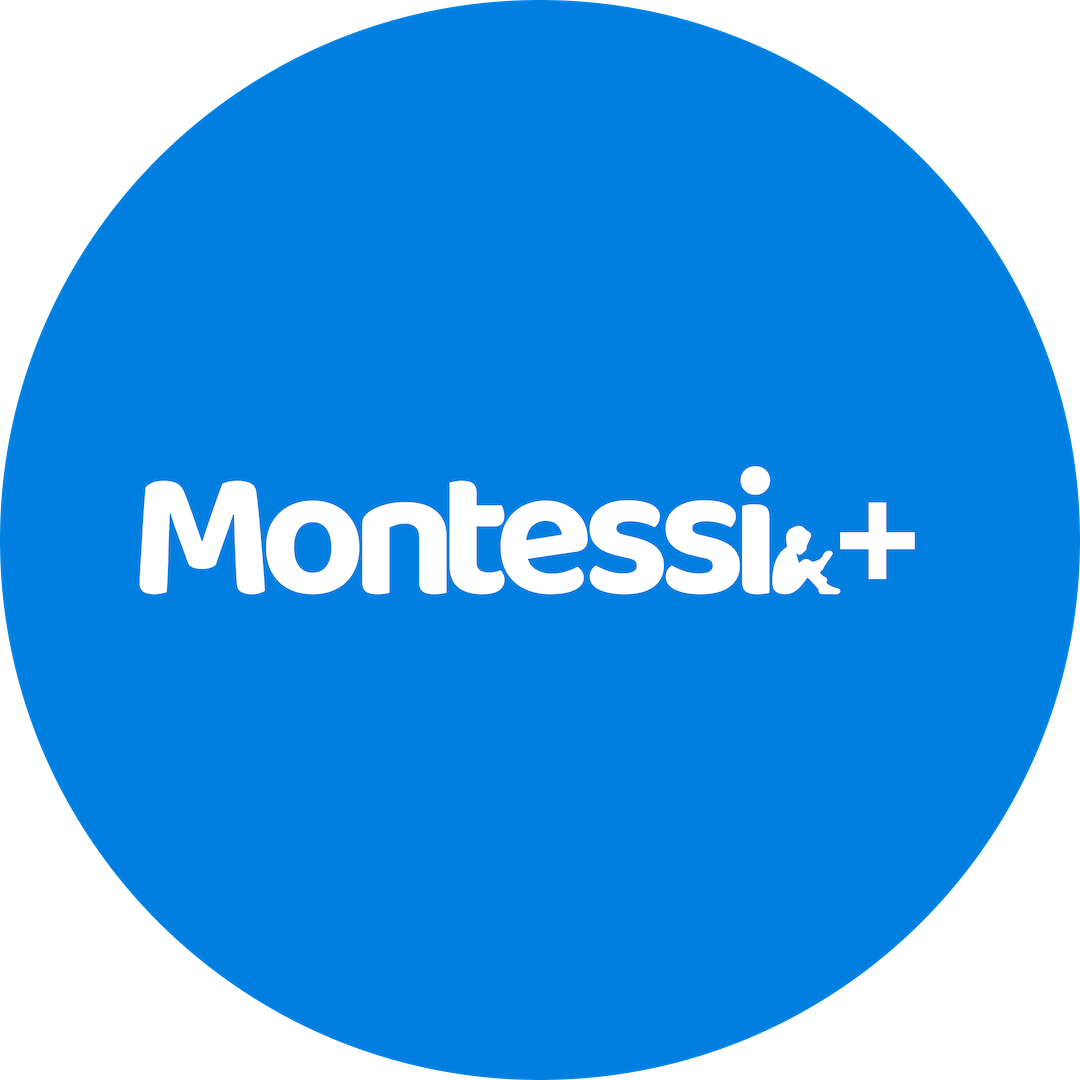 Virtual Montessori Classes For Your Child