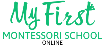 Virtual Montessori Classes For Your Child